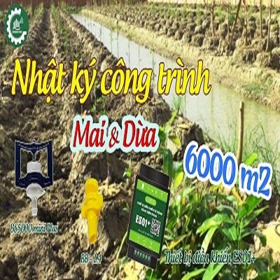 Thi công hệ thống tưới kết hợp Béc BS5000 Mini Plus và Béc BB 1.4 ly
