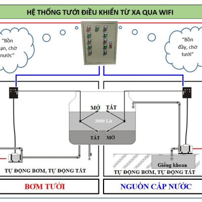 Tưới vườn Mai mới trồng tại Cầu Ngang - Trà Vinh