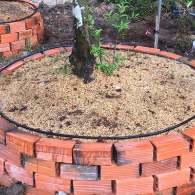 Cải tạo vườn Mai và chuyển đổi kiểu tưới phun mưa sang tưới kết hợp